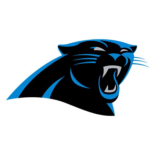29 logo