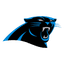 29 logo