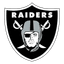 13 logo